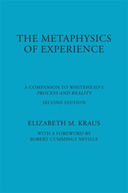 Metaphysics of Experience