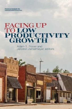 Facing Up to Low Productivity Growth